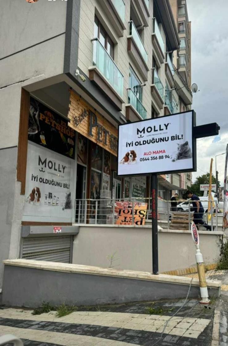 Dijital baskı projesi